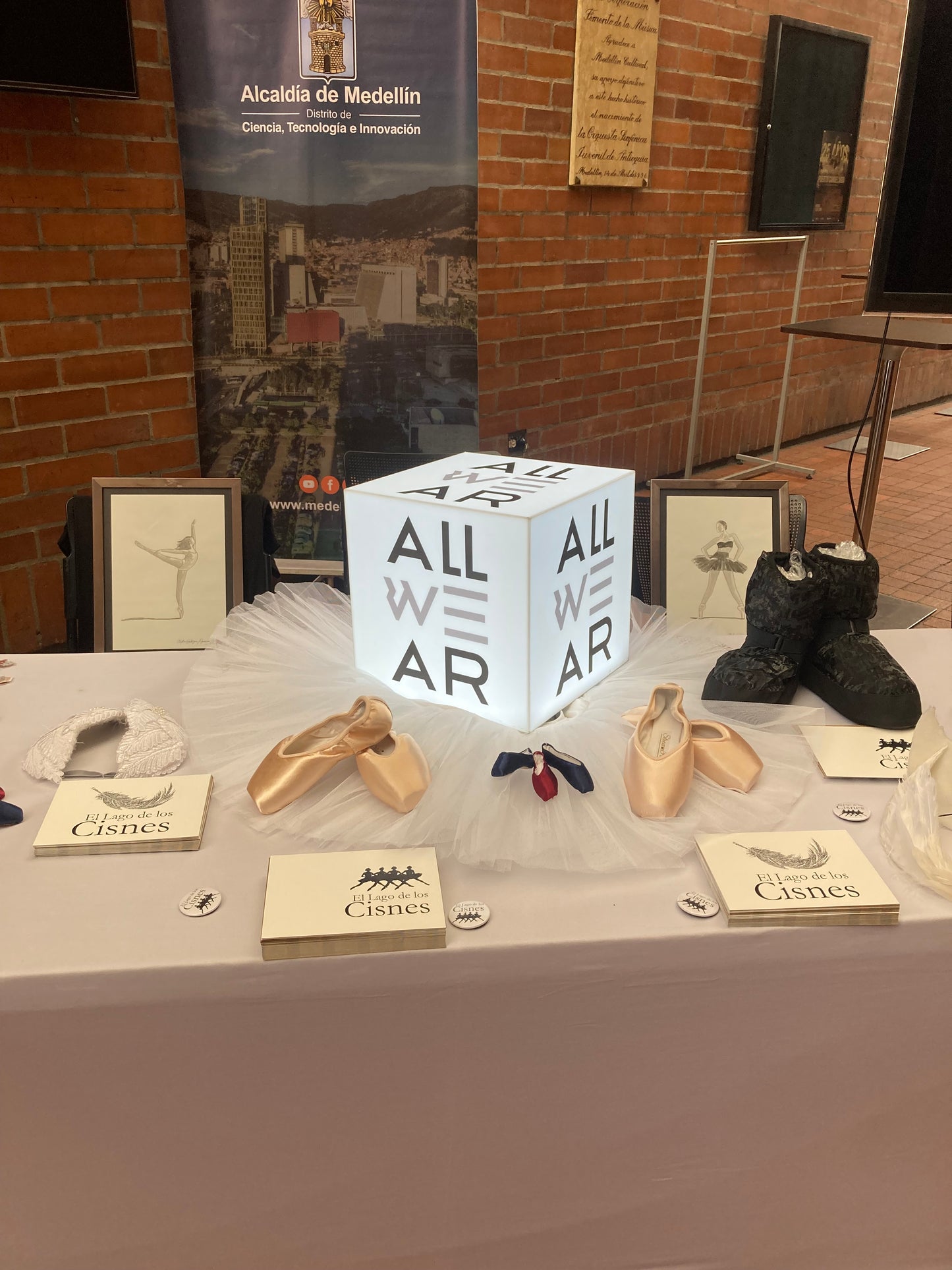 Pointe Shoe Fitting – Asesoría Profesional de Zapatillas de Punta
