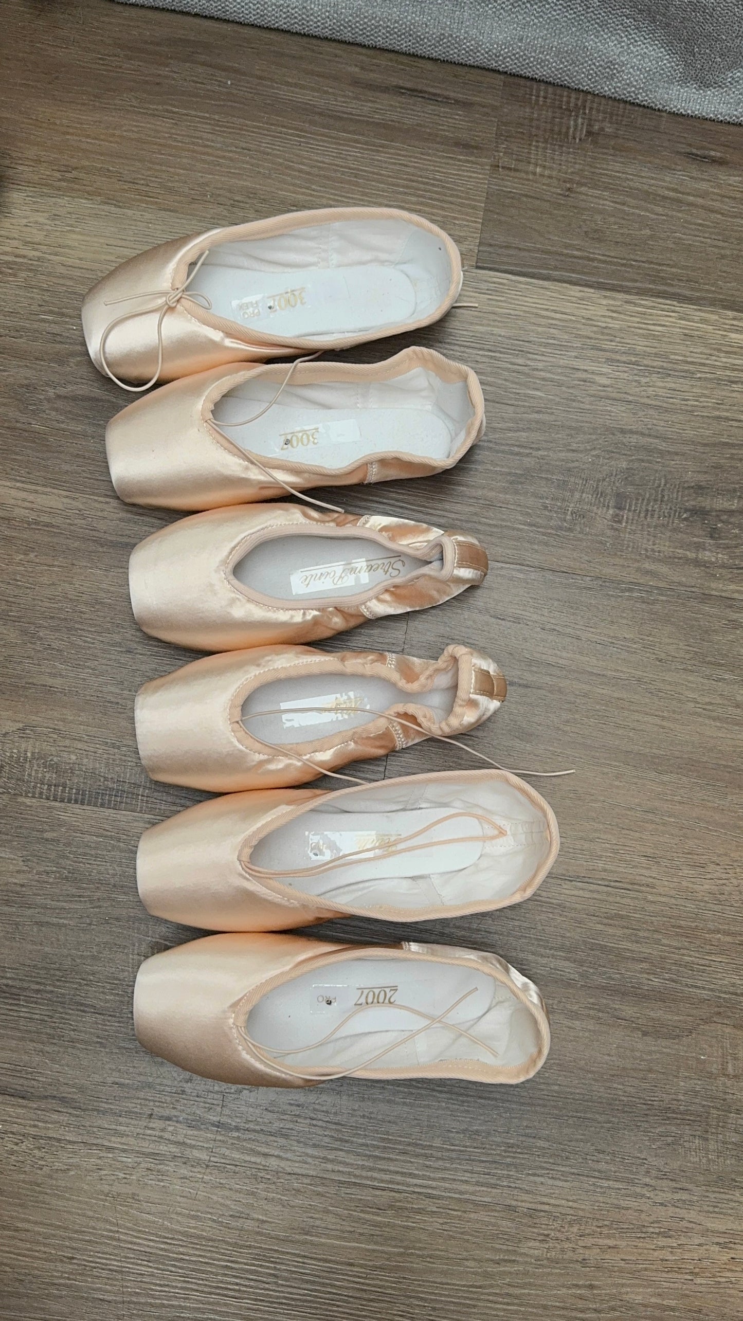 Pointe Shoe Fitting – Asesoría Profesional de Zapatillas de Punta