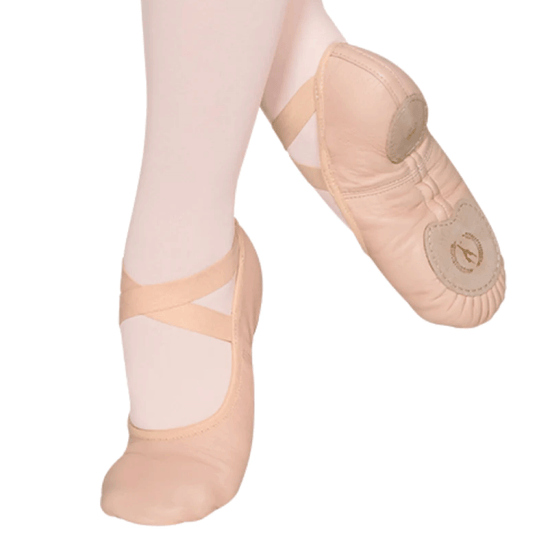 Assemble A2004 Eurotard